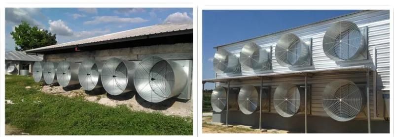 CE Certified Wall Mounted Shutter Cone Exhaust Fan for Poultry Farm