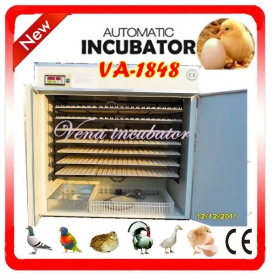 Competitive Price and Automatic Chicken Quail Egg Incubator for Hatching (VA-1848) ...