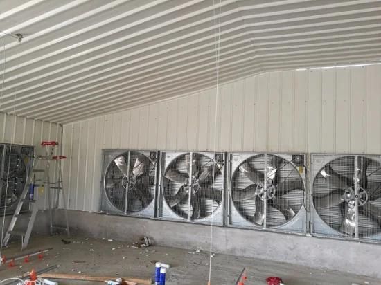 Automatic Poultry House with Ventilation Fans
