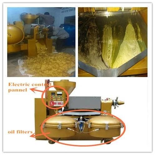Factory Price Castor Oil Extraction Machine for Sale (YZLXQ120)