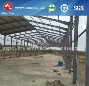 Battery Cage Made by Hot Galvanized Wire Mesh