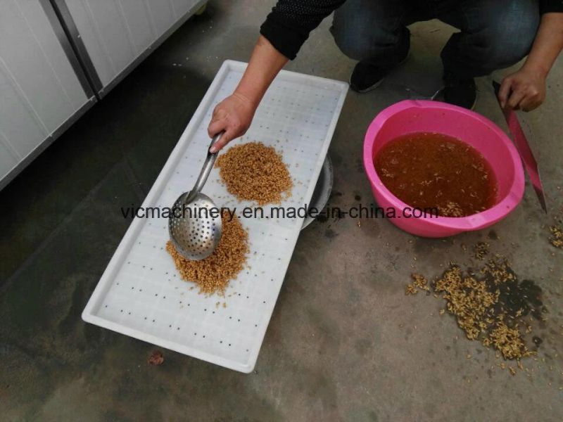 Animal Feed Hydroponic Growing Machine For Pasture Fodder