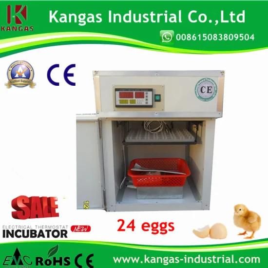 Hot Sale CE Approved Mini Quail Incubator for 24 Eggs (KP-1)