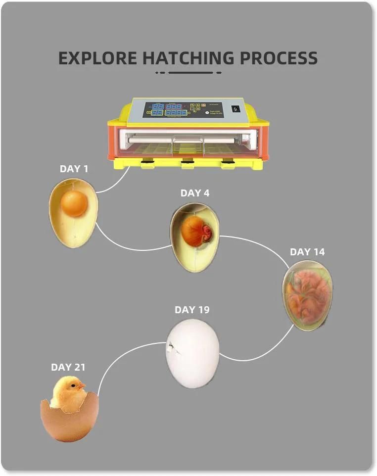 Hhd New Hot Selling Automatic 46 Quail Egg Incubator for Sale R46