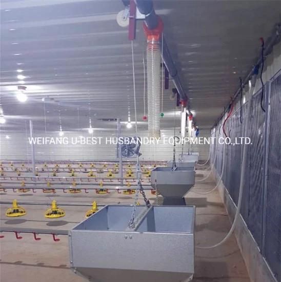 Steel Structure Construction Broiler Poultry Farm Shed Design From Weifang China