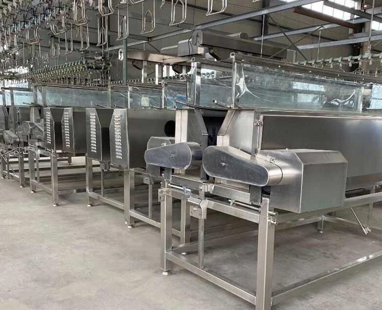 Automaticcomplete Poultry Slaughtering Equipment Chicken Slaughter Line