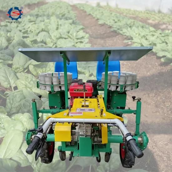 Seedling Transplanter Vegetable Transplanting Machine for Seedlings