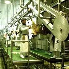 Halal Goat Butcher Slaughter Line Meat Processing Abattoir Machinery