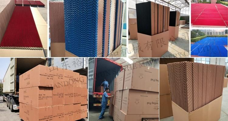 High Quality 7090 Evaporative Cooling Pad/Cellulose Cooling Pad for Greenhouse/Poultry House