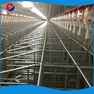 Pig Farm Equipment Gestation Crate Sow Cage for Sale