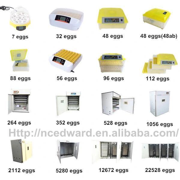 Hhd 56 Eggs Fully Automatic Mini Egg Incubator with Good Quality