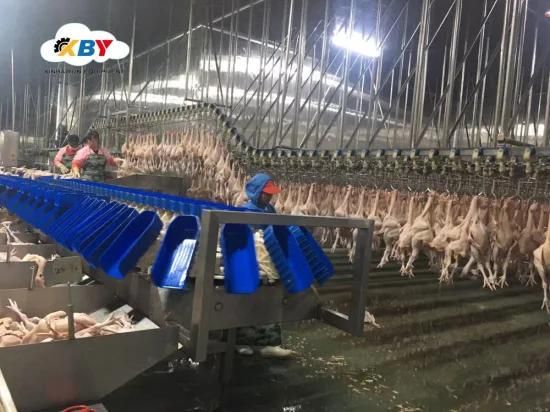 10000 Chickens Slaughter Equipment Project Machine