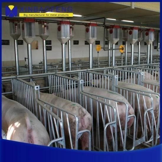 Reversible Pig Cages Farrowing Crate for Pig Farms