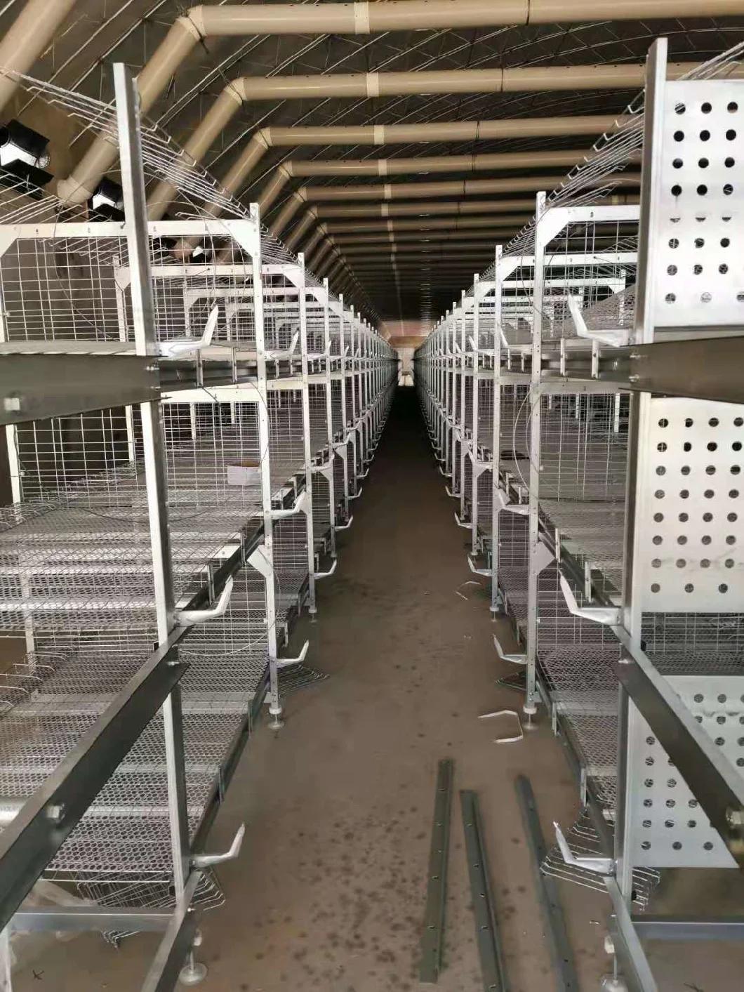 5 Tires H Type Cage for Chicken Poutry Farm