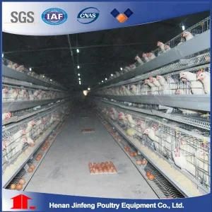 Automatic Factory Direct Supply Chicken Layer Cage Cheap Chicken Cage Poultry Farming ...