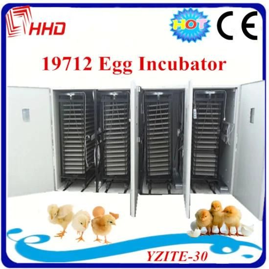 Large Automatic Egg Incubator for 20000 Chicken Eggs