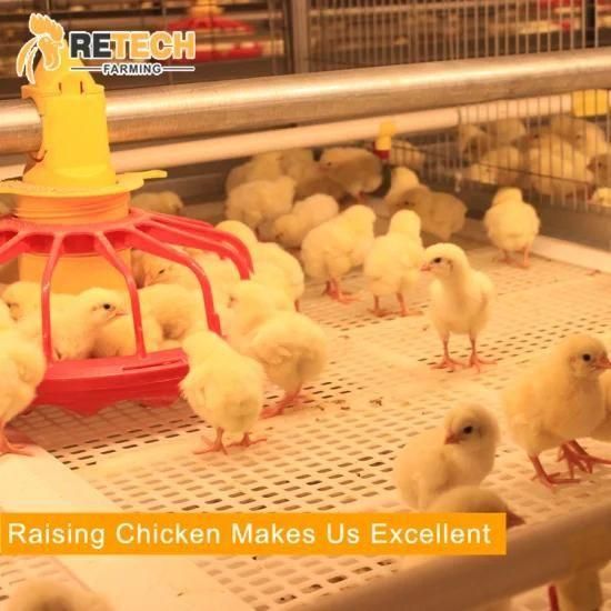 Good sale broiler chicken cage poultry equipment for fat chicken