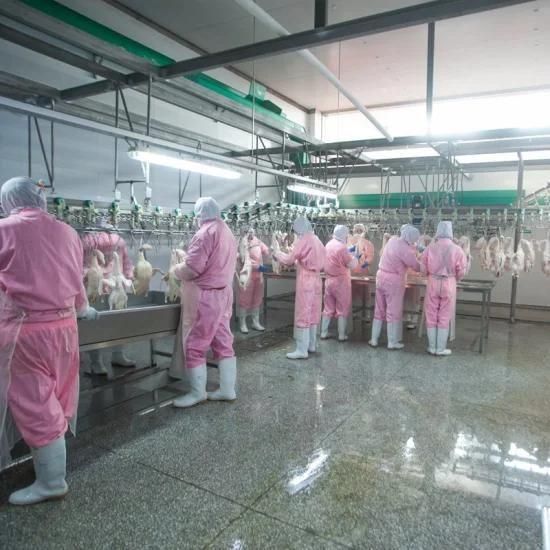 300-800bph Chicken Meat Processing Equipment