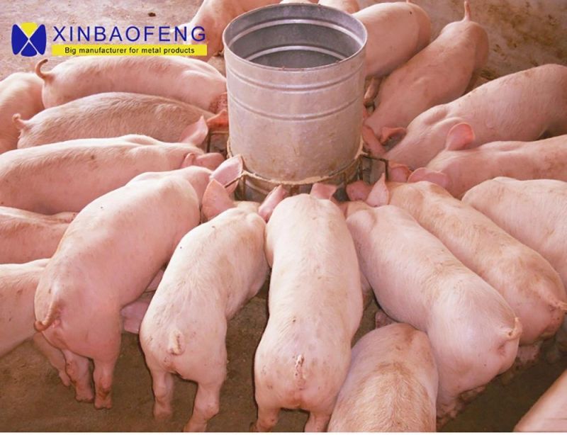 Pig Feeders for Nursery Pigs and Fattening Pigs Double Side Pig Troughs