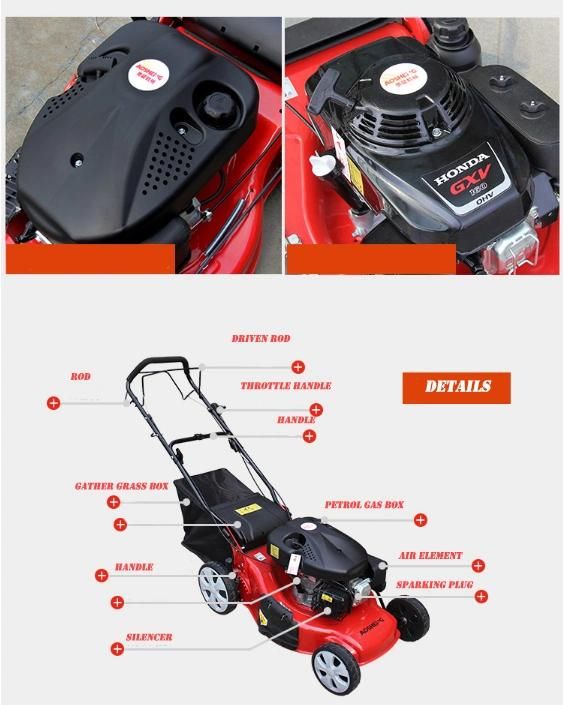 Petrol Lawn Mower Tractor Hand Push/Auto Motor 2-Stroke
