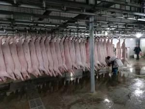 Pig Pork Slaughter Equipment for Sale