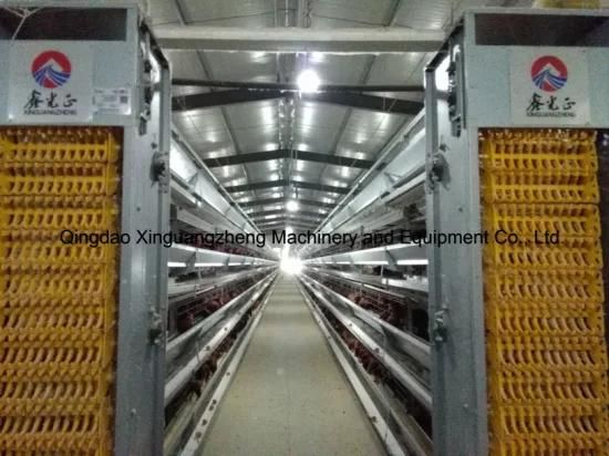 H Type Layer Chicken Equipment with Exhibition Hall