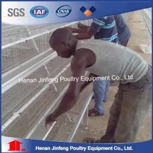 Automatic Feeding Drinking 120 Layers Poultry Chicken Cage for Sale
