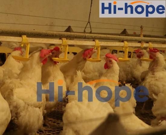 Poultry Farm Automatic Chicken Nipple Drinker for Chicken/ Layer / Broiler