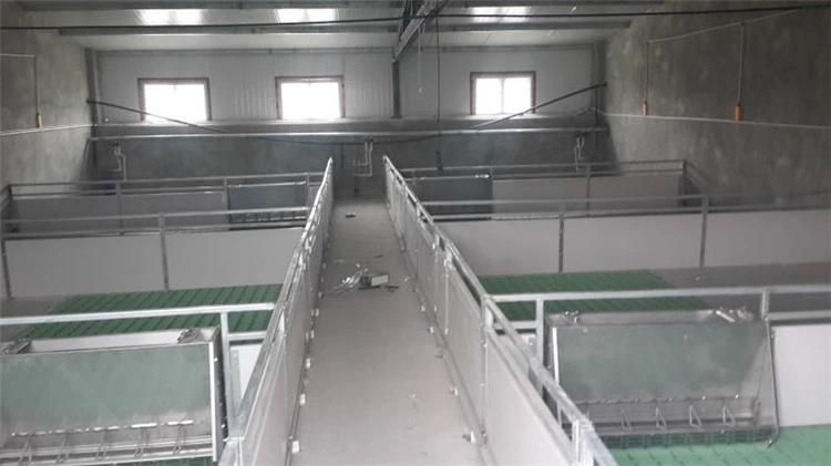 Customized Size Pig Farm Equipment Nursery Weaning Pig Cage