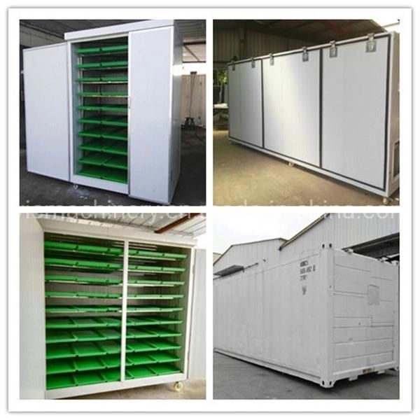 Full Auto Hydroponic Fodder Growing Systems Wtih 500kg/d
