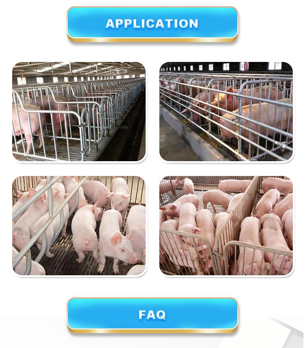Swine Farm Pig Cage Equipment Breeding Stalls of Galvanized Sow Farrowing Crates