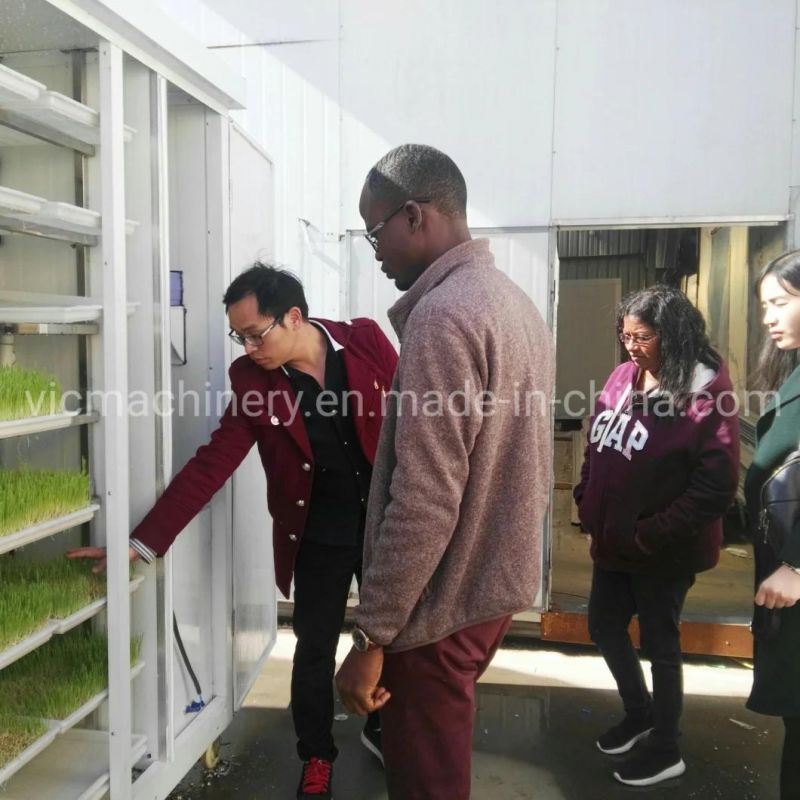 Factory Recommend Home Use Growing System Hydroponics With 100kg/d