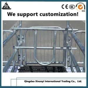 Farrowing Crate Equipment for Pregnant Pig Factory