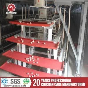 Farm Machinery Battery Cages for Laying Hen Best Selling in Algeria (A4L160)
