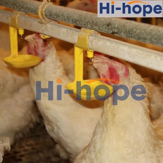 Automatic Layer Cage and Broiler Poultry Drinker