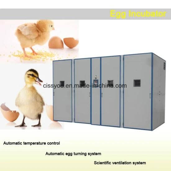 Factory Selling Auto Chicken Egg Hatching Incubators