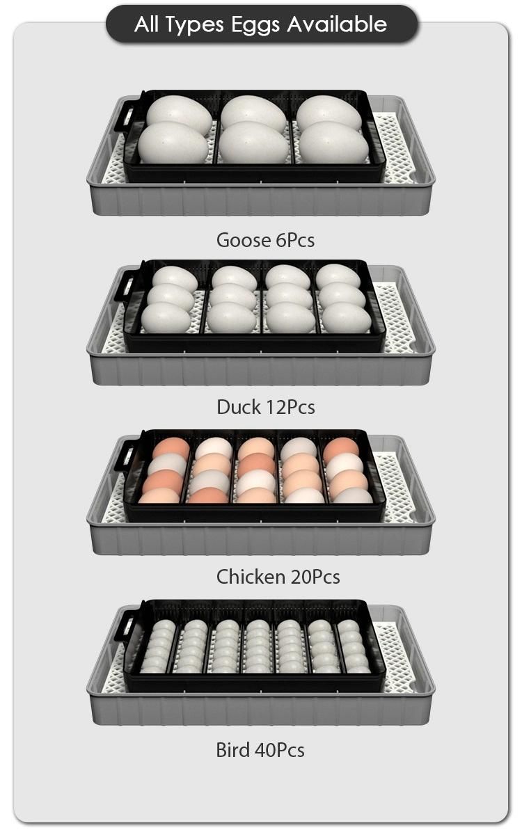 2021 Newnest Household Ew9-20 Hatchery Machine for Hatching 12 Duck Eggs