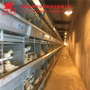 Chicken Farm Equipments Poultry Layer Chicken Cage