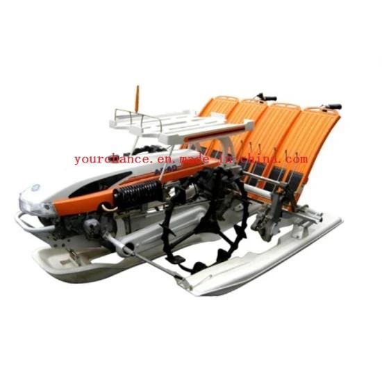 Hot Sale 2zx-425 4 Rows 250mm Rows Width Walking Type High Quality Cheap Rice Transplanter