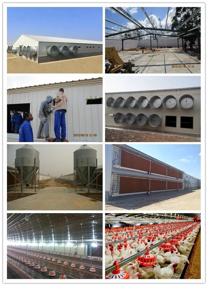 Hot Sale Steel Structure Poultry Farming Construction Chicken House with Equipment