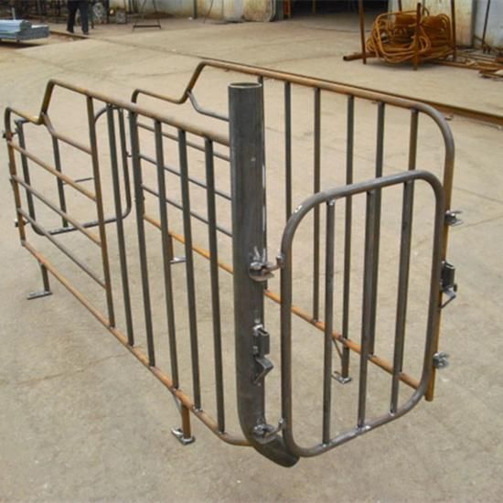 Used Farrowing Crates for Pigs Farrowing Stalls
