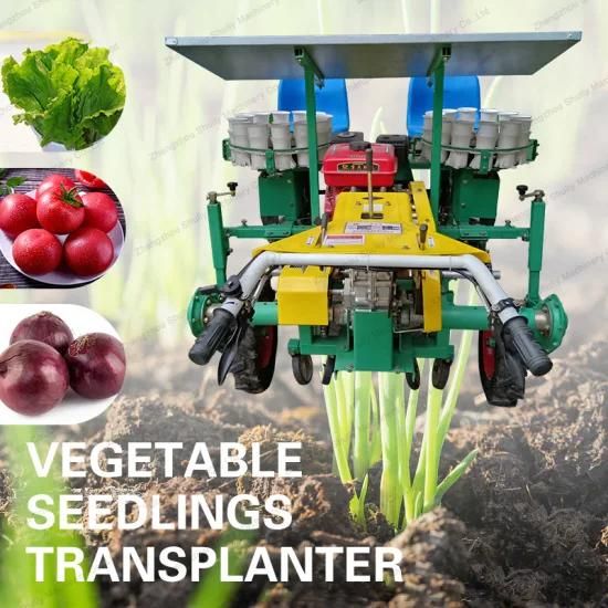 Onion and Garlic Planter Vegetables Sowing Machine Farm Transplanter Manufacturer