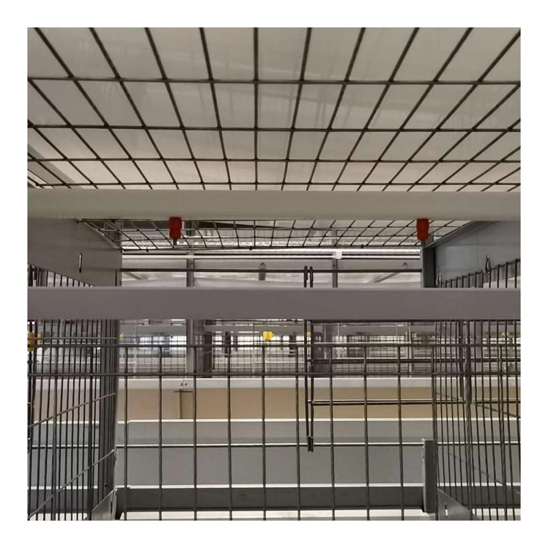 H Type Layer Cage Chicken Raising Equipment with Full Automatic Equipments
