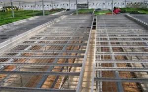 Hydroponic Ebb and Flow Trays Flood Rolling Bench System