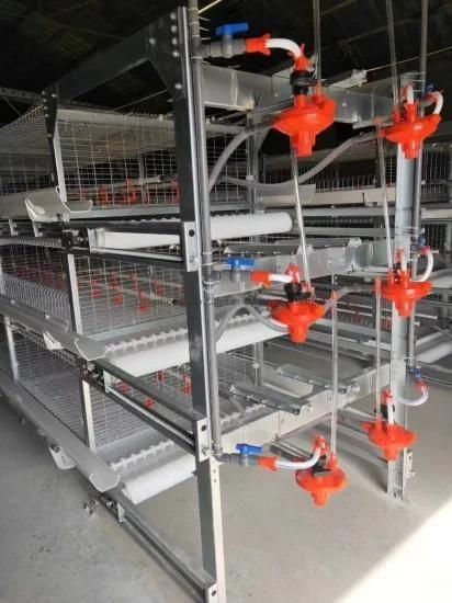 Hightop Chicken Cage for Broiler/Layer/Egg Chicken