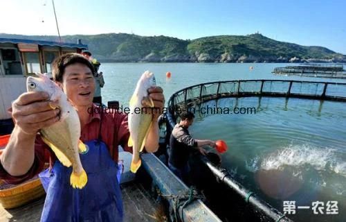 Aquaculture Floating Pipe Breaking Strength Fish Net Cage