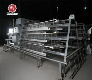 Chicken Layer Cage Poultry Layer Cage Battery Layer Cage System