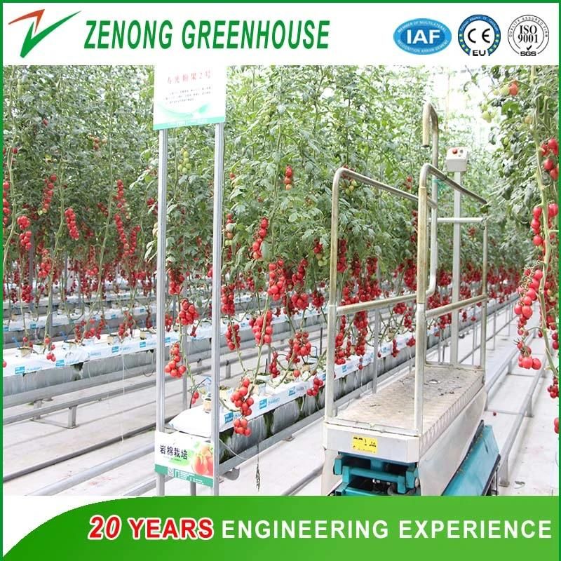 High Safety Hydraulic Elevating Work Platform for Greenhouse Fruits Picking