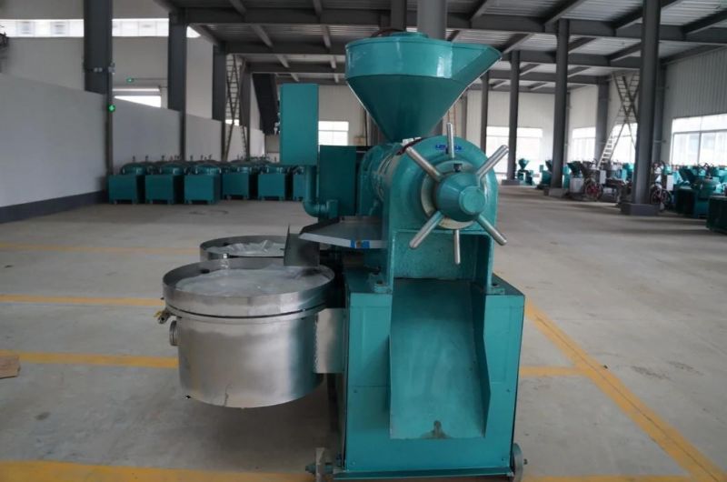 8tons Per Day Yzyx130wz New Developed Combined Cold Oil Press with Filter