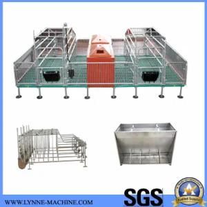 Poultry Farm Galvanized Steel Pig Sow Farrowing Stall China Supplier